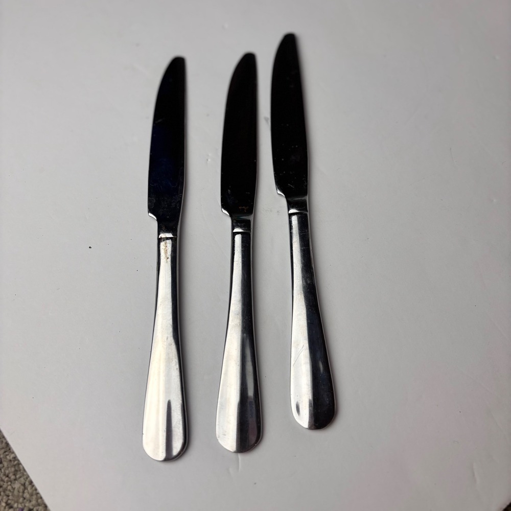 Pfaltzgraff Everyday Stainless Steel‎ Serrated Steak Knives Set of 3 Silver 8.5"